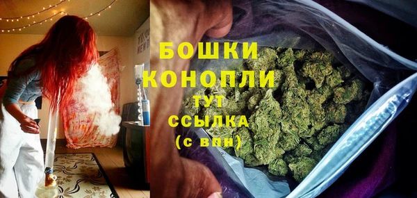 винт Магас
