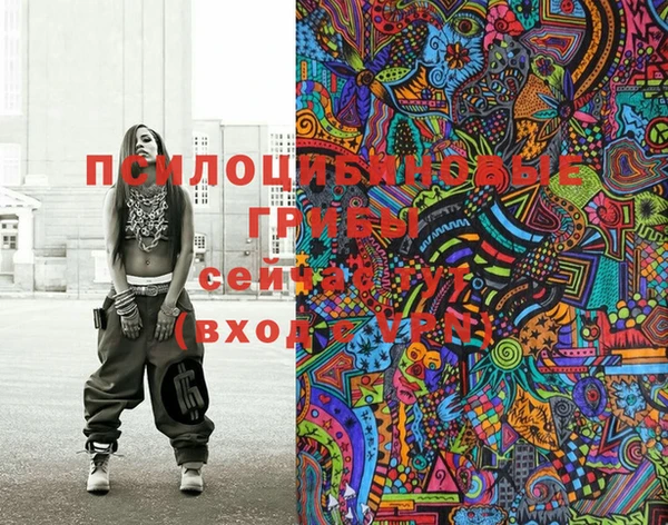 мдпв Магадан